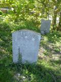image of grave number 787420